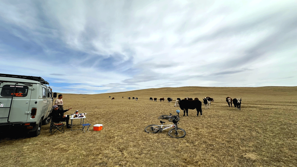 Cycling tour in Mongolia 2024